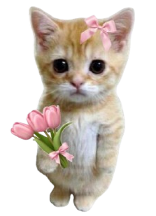 Cute Cat